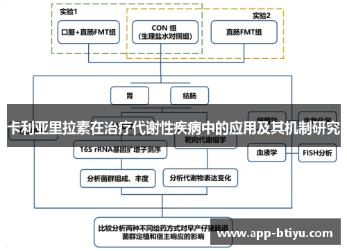 卡利亚里拉素在治疗代谢性疾病中的应用及其机制研究